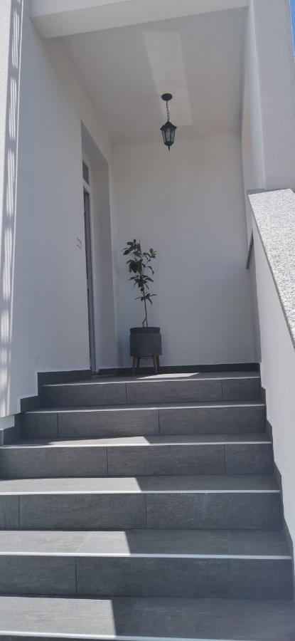 Apartments Angeline 罗维尼村 外观 照片