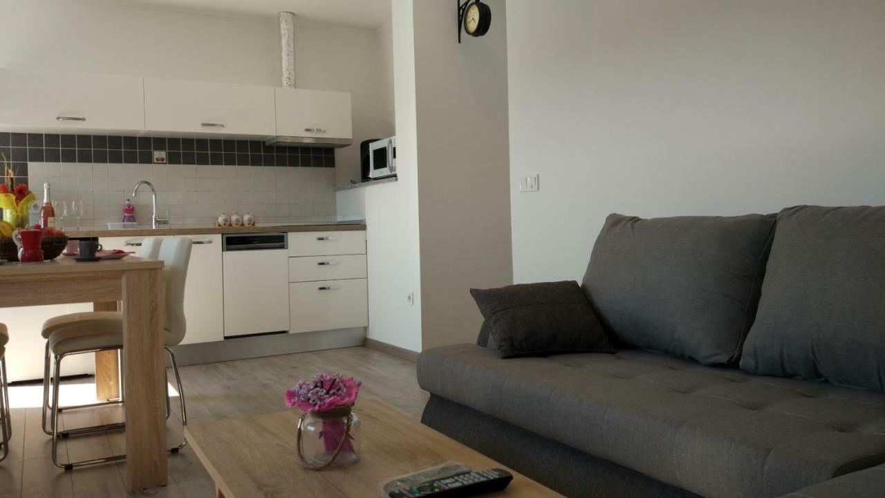 Apartments Angeline 罗维尼村 外观 照片