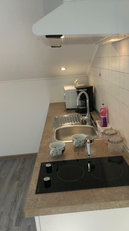 Apartments Angeline 罗维尼村 外观 照片